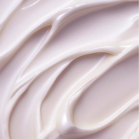 Full Brazilian Membership at Bare Beauty Haus in North Richland Hills, TX